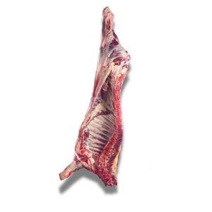 شقه گوساله